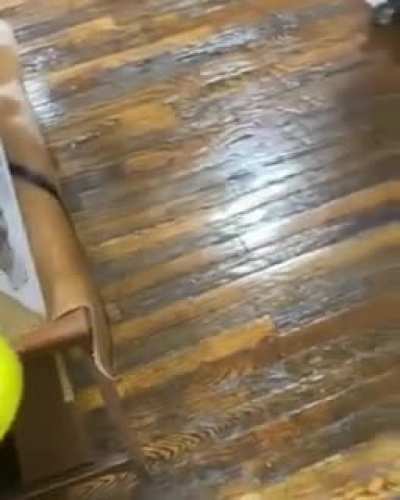 imagine finding that irl
