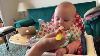 First taste of actual food was clearly a hit!