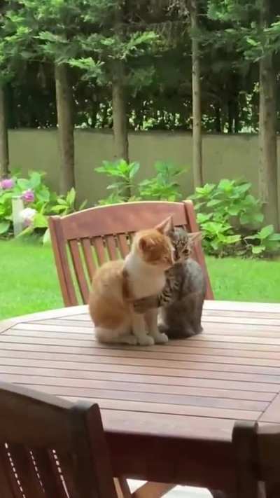 Cutest couple.