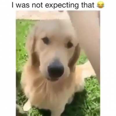 He got his revenge ?