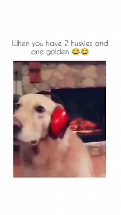 The ending had me dying ???