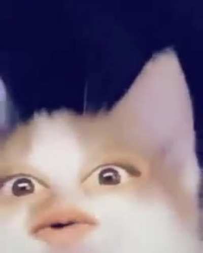 WaaaaaaW
