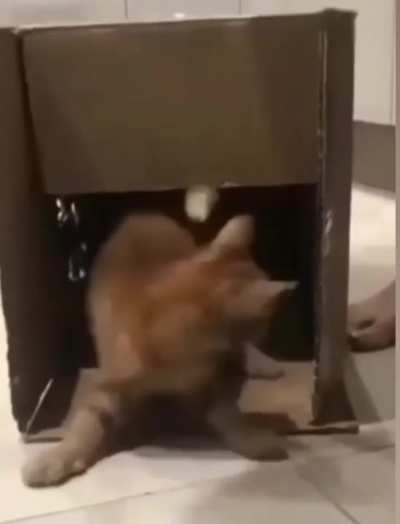 Knock, knock, motherfucker