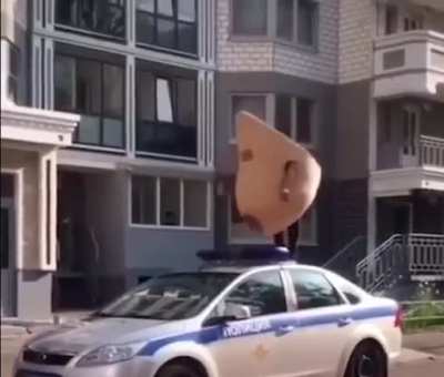 Fearless big tit