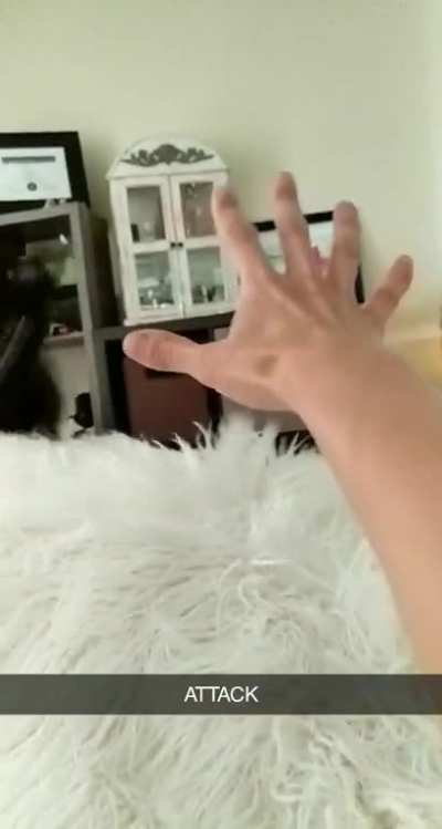 SNEAK ATTACK