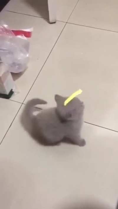 The Punishment Fits the Crime