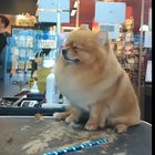 "What? Where am I?"
