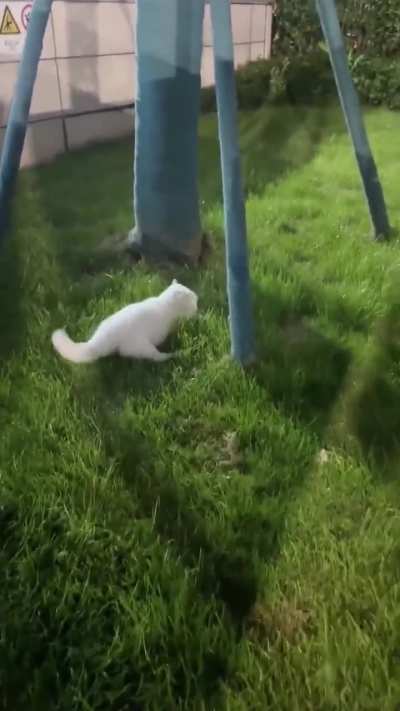 Nicki running away.
