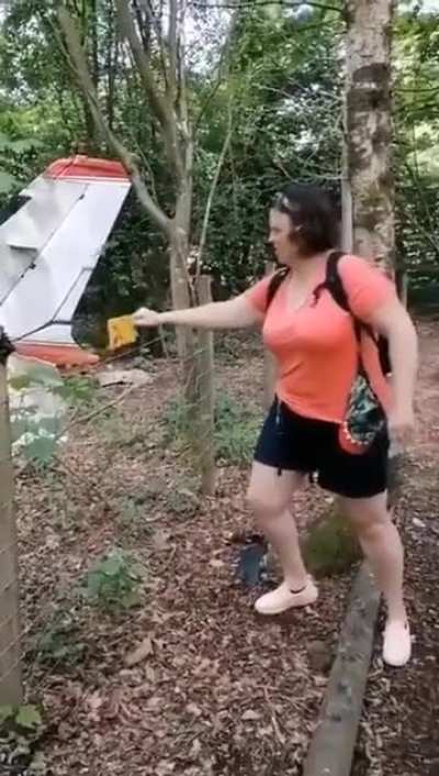 Maybe maybe maybe