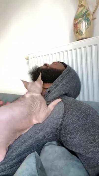He always jumps on me to do this. Think he likes my beard ??‍♂️