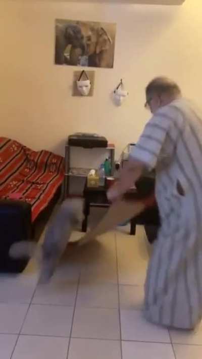 Faster hooman