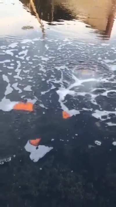 ? Burning The Methane on Lakes