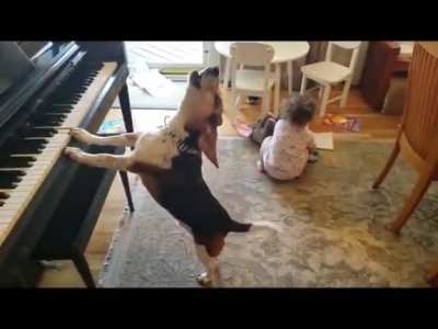 Nobody has ever had as much fun at a party as these two are having at this party