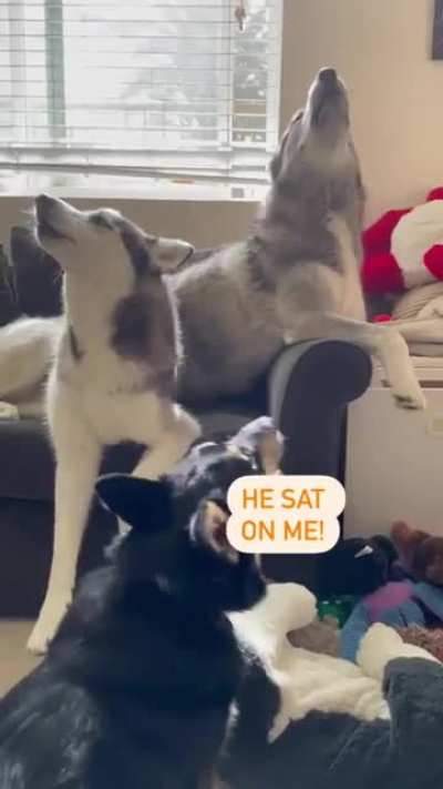 Help! He's farting on me! ?