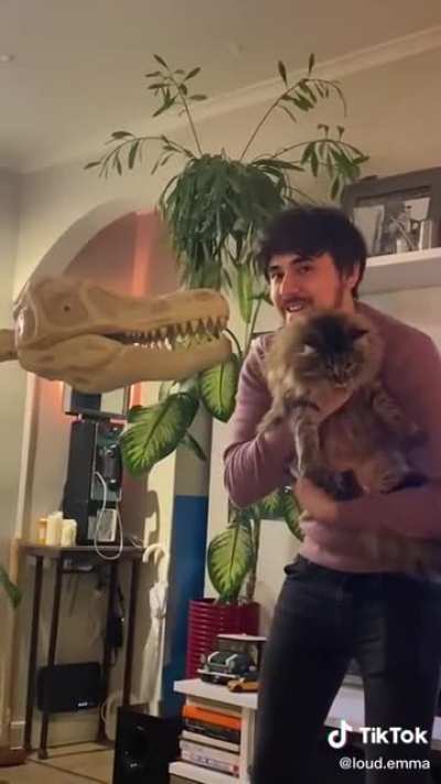 The kitty fears no God