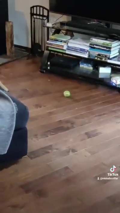 Mistakes were made
