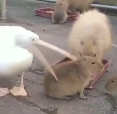 When it doesn’t fit, it doesn’t fit