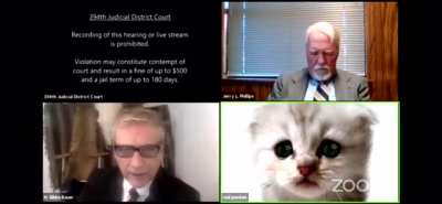 Texas Lawyer can't turn off Cat Filter, feels he has to explain: "I am not a cat"