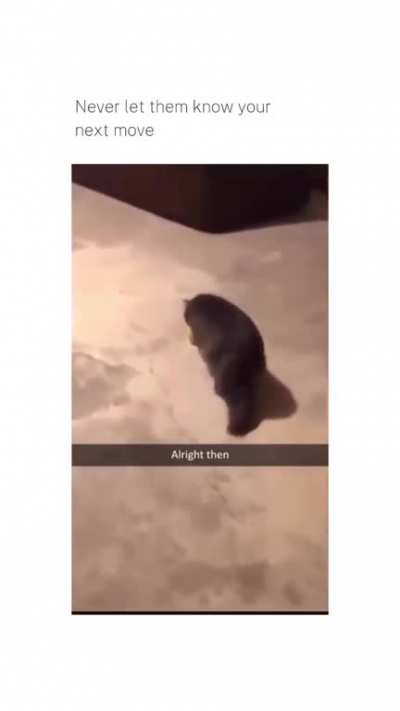 maybe maybe maybe