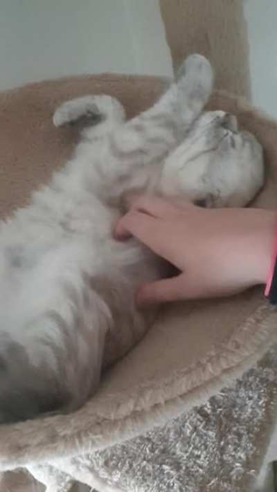 Dont stop human!