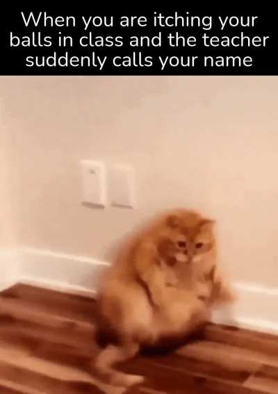 And everyone gives you THAT look.