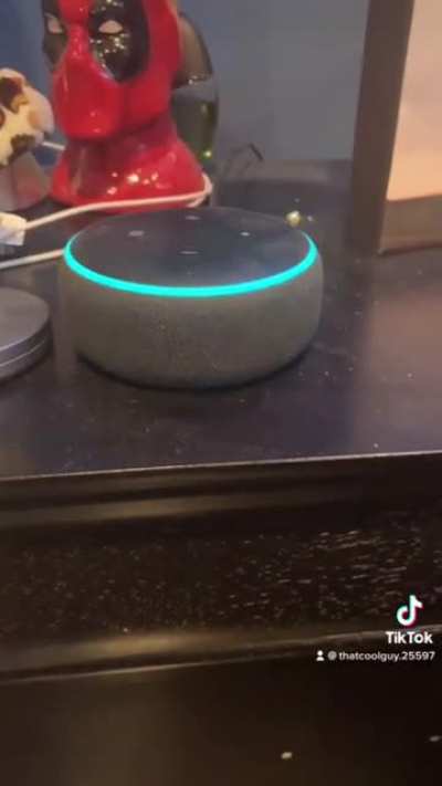 My Alexa is really testing me today ?