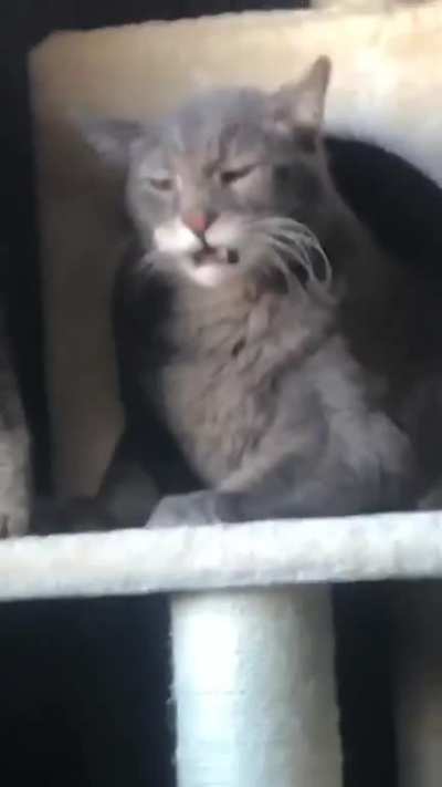 The face of absolute regret