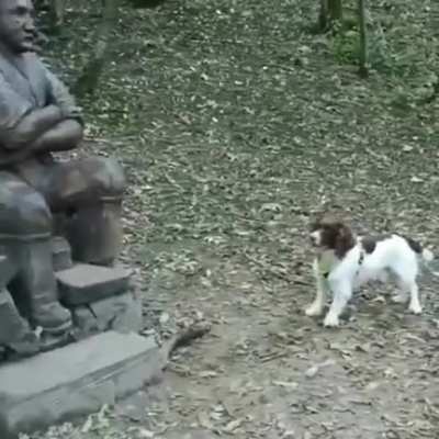 "hey you! Throw it!"