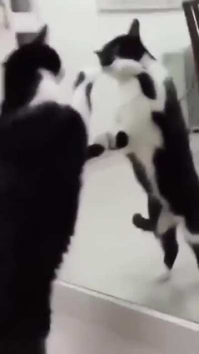 Doppelgänger