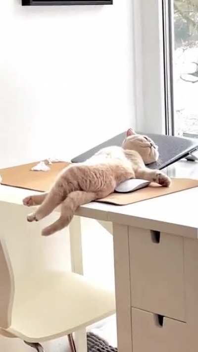 Living best life
