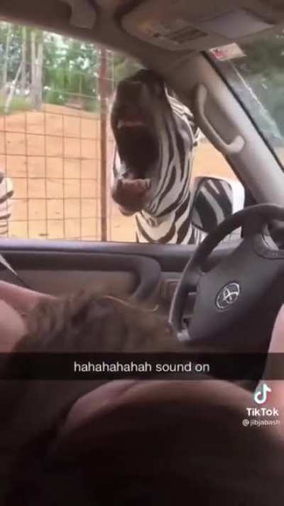 Well that sounds like a Zebra.