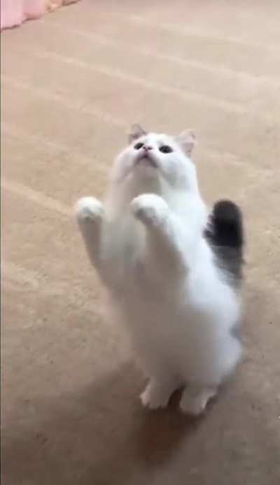 Tap at the end