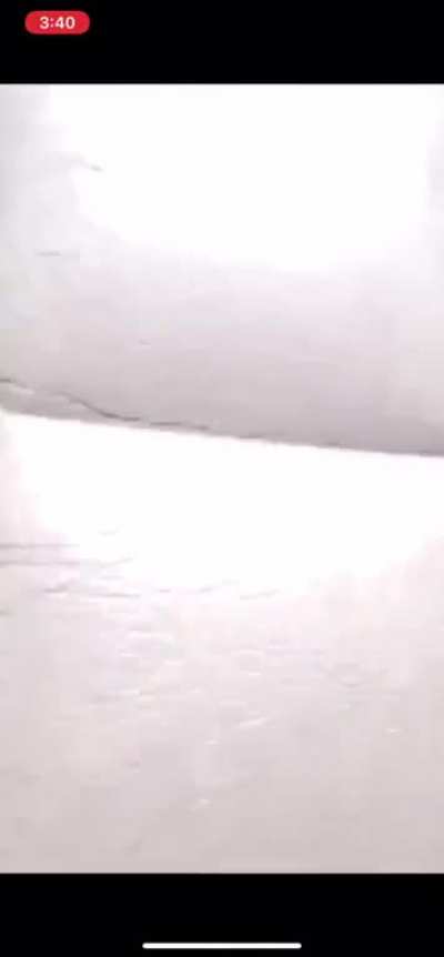 Poor turkey