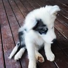 Oh HI! ? my names Finn ?
