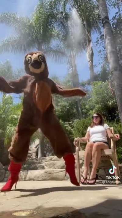 Slothology