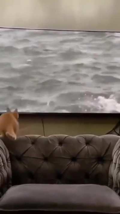 Fishing at home