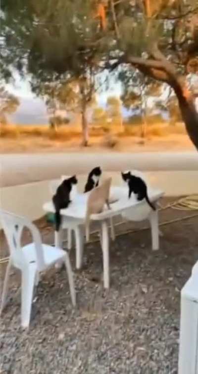 Secret Mafia meeting.