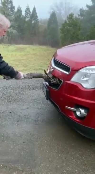 It's stuck in there and looks pretty bad