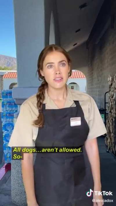 This dog is a tiny dog?