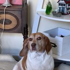 Wait for it