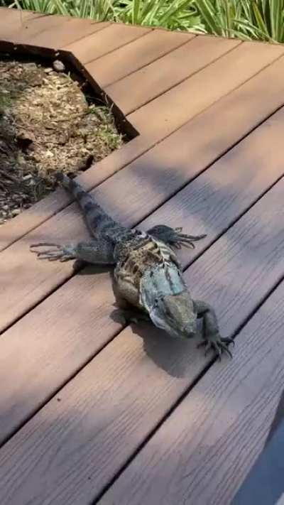 “Sup”