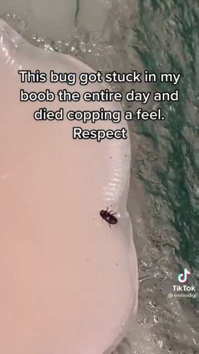 He died doing what he loved ?