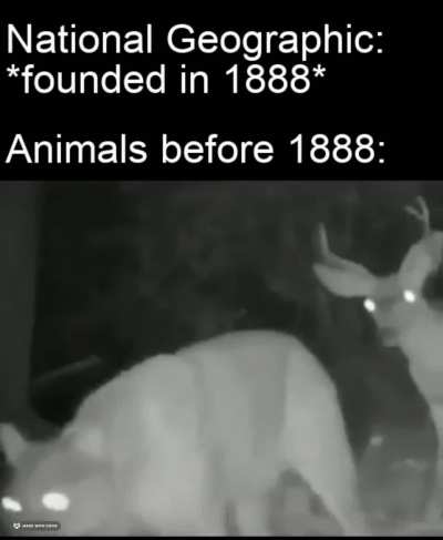 unemployed animals