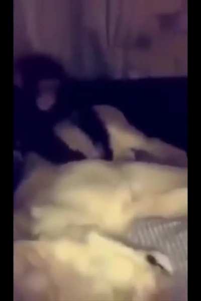 Monke massage