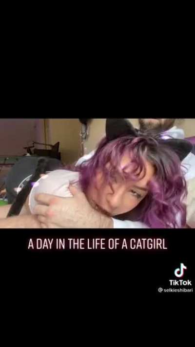 Meow