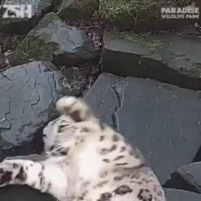"What the hell is that?!"