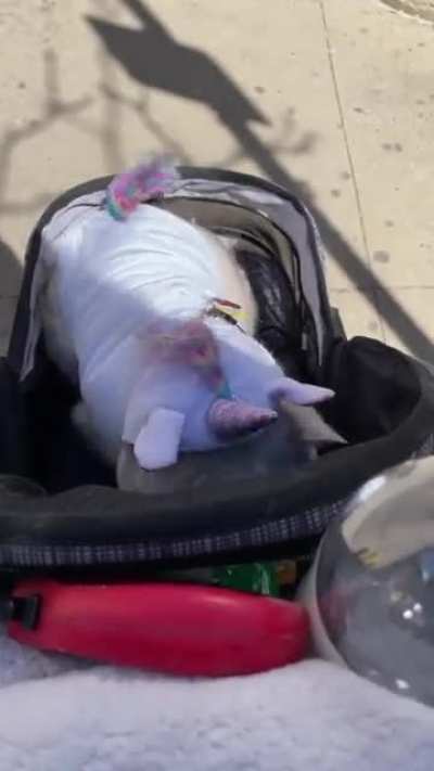 super cute unicorn ?