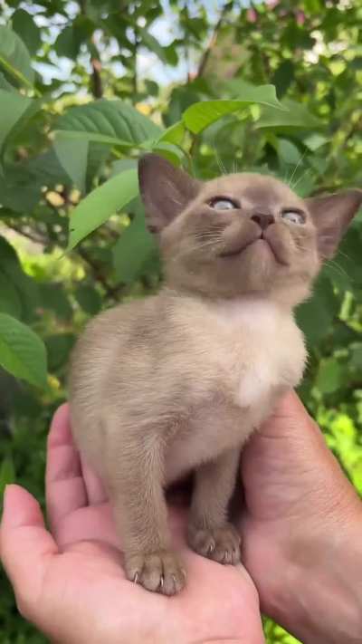 I'm just a baby ??