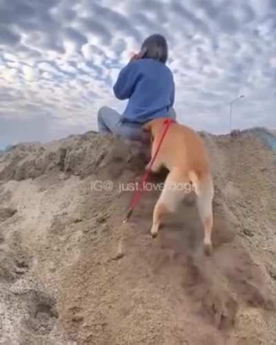"Such a good boy"