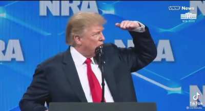 Trump likes his big strong guys ?